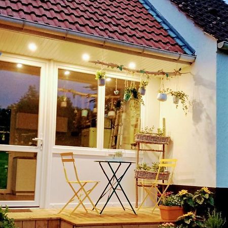 Le Cottage Du Marais. Houlle ภายนอก รูปภาพ